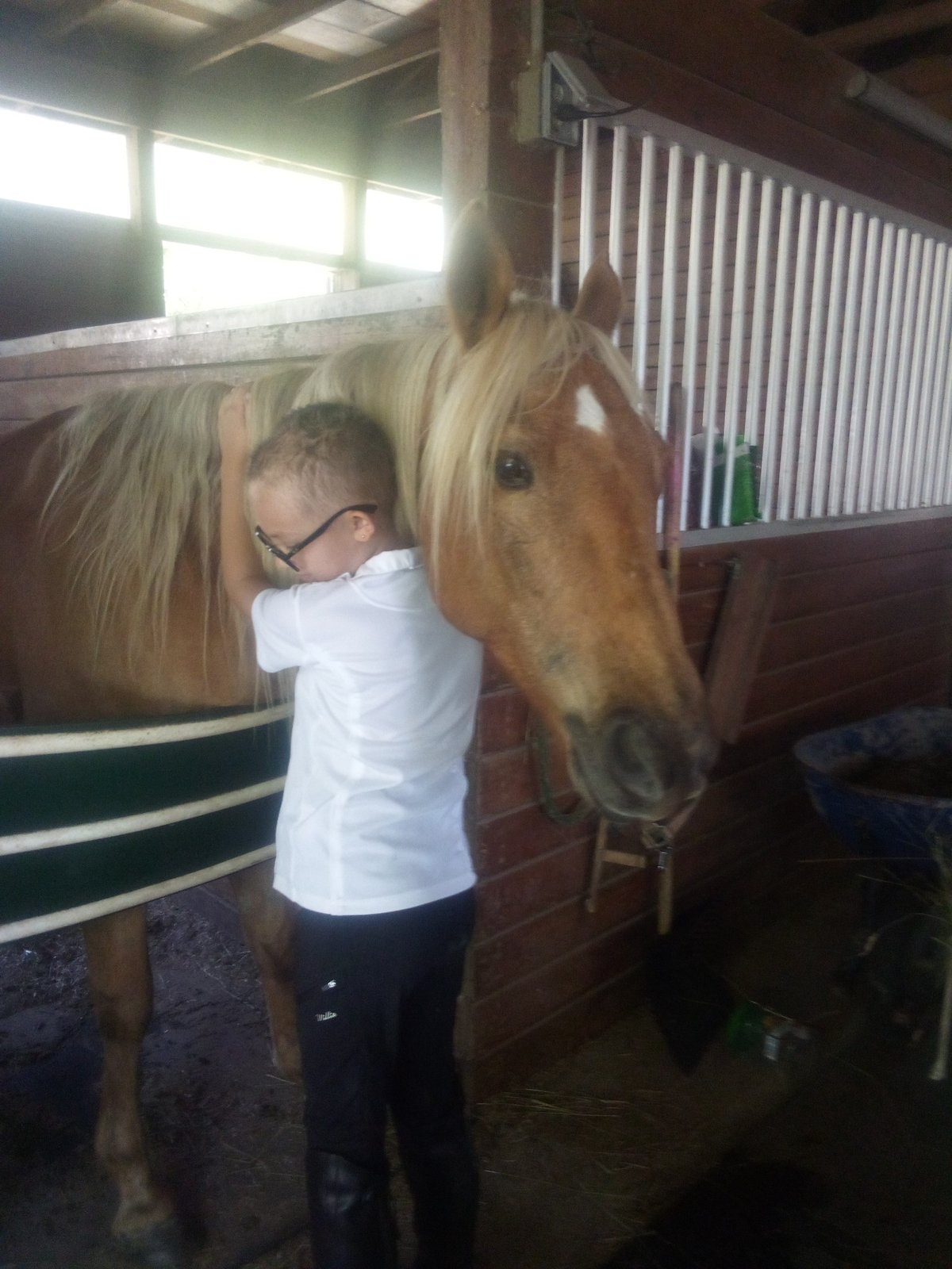 Child hugging palomino horse in the barn